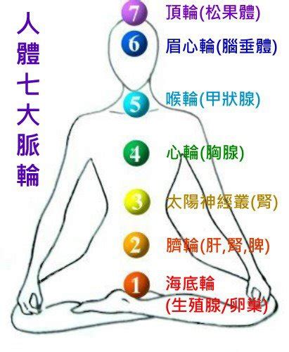 左右脈|7 大脈輪位置對應｜解析人體脈輪生命力量（內附脈輪 